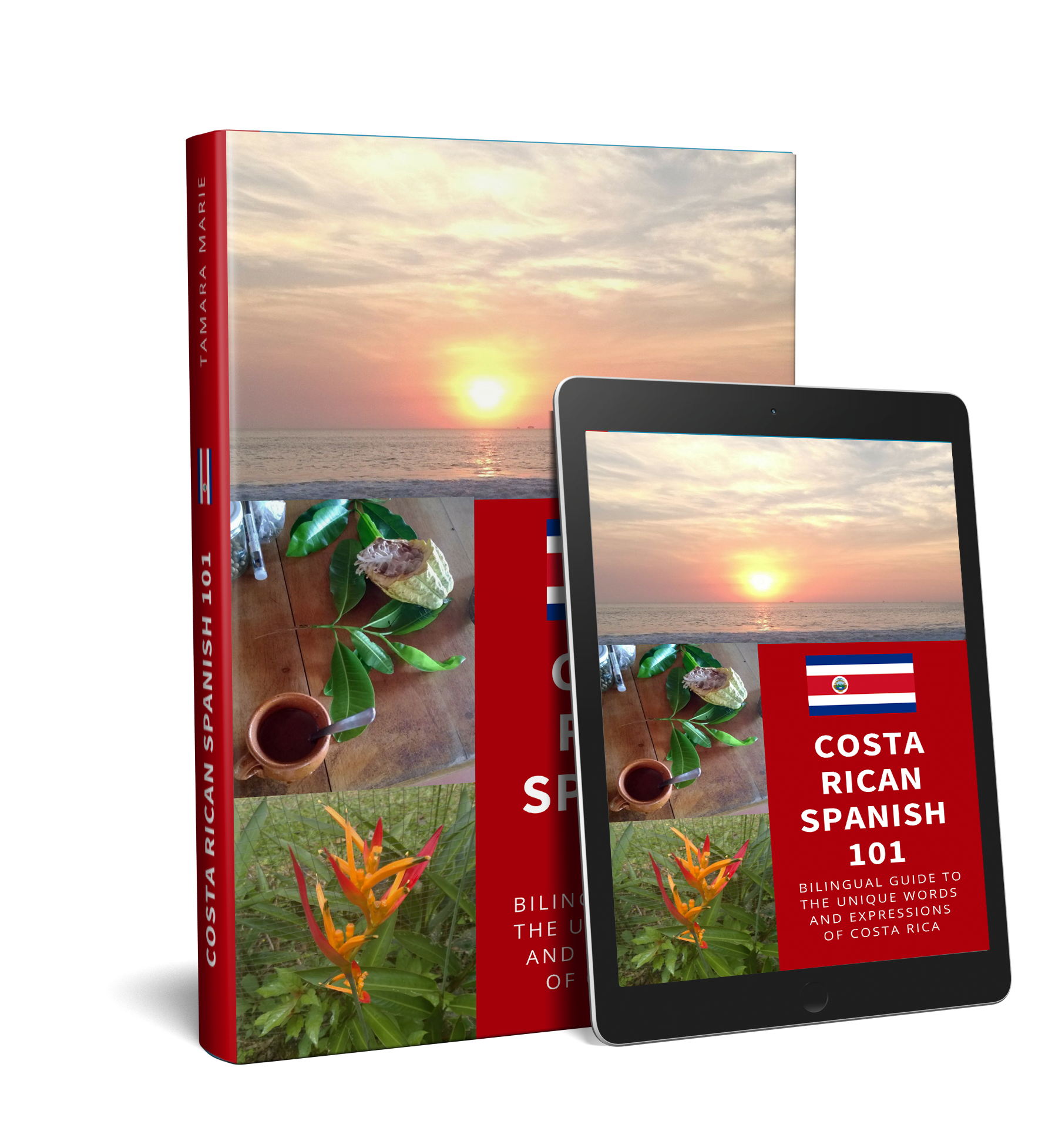 Costa Rican Spanish 101 Phrasebook